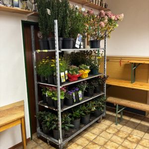 foto 18.10.24  15 12