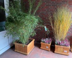 foto 19.10.24  11 23