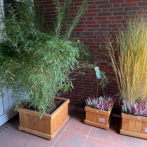 foto 19.10.24  11 23