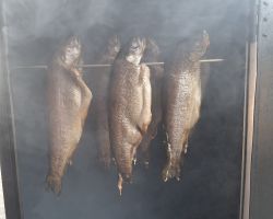 foto6.05.25  09 33 41  30   