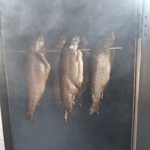 foto6.05.25  09 33 41  30   