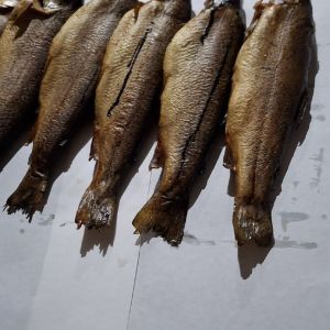 foto 05.03.26  22 58 31    