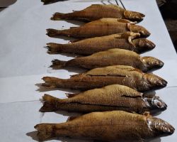 foto 05.03.26  22 58 31  