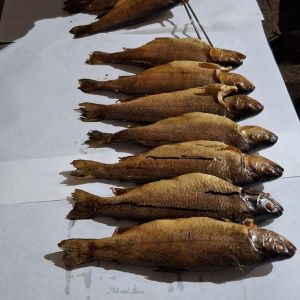 foto 05.03.26  22 58 31  