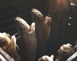 foto 05.03.26 2 58 31  