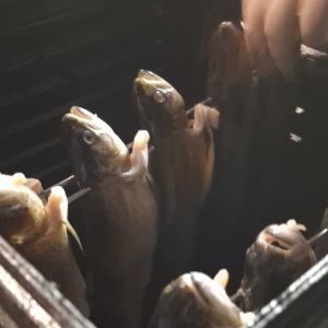 foto 05.03.26 2 58 31  