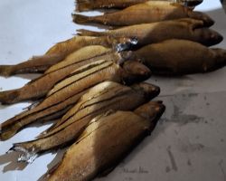 foto 05.03.26  22 581  