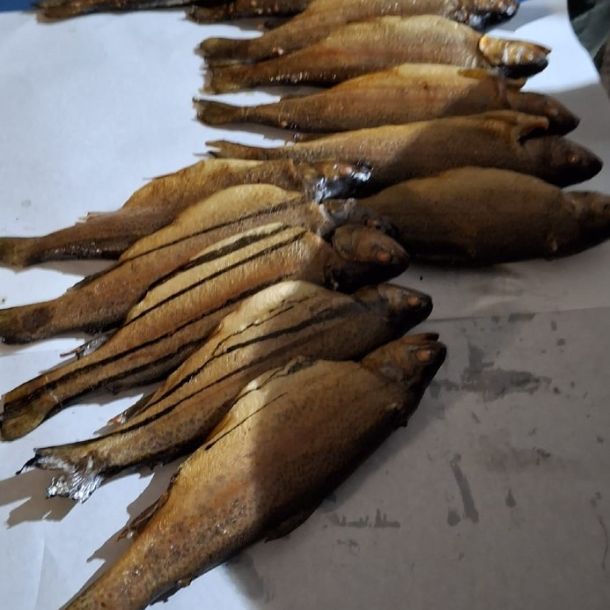 foto 05.03.26  22 581  