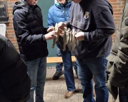 foto 05.03.26  22 58 31  