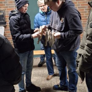 foto 05.03.26  22 58 31  