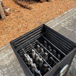 foto 15.06.24  10 21