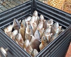 foto 25.10.25  13 51