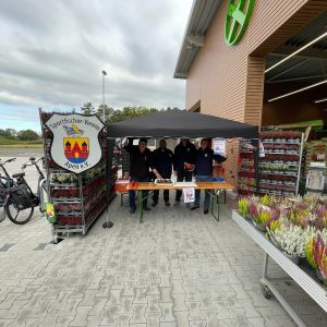 foto 26.09.25  11 04