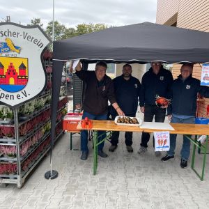 foto 26.09.25  11 04