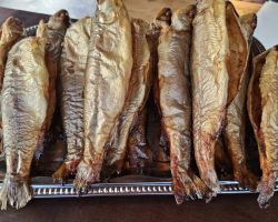 foto 26.10.24  14 07