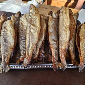 foto 26.10.24  14 07