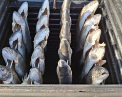 foto 26.10.24  14 54