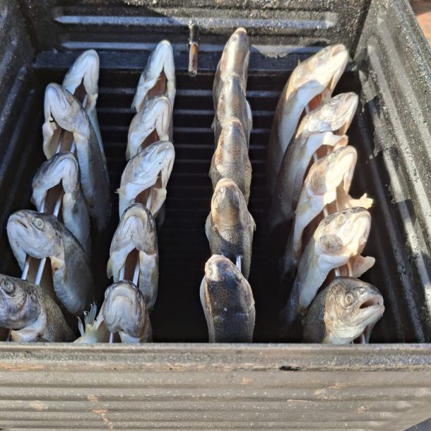 foto 26.10.24  14 54