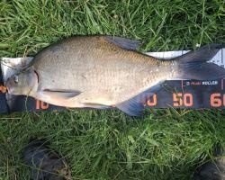 foto 13.07.26  21 56