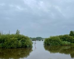 foto 13.07.25  08 41