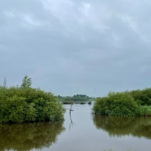 foto 13.07.25  08 41