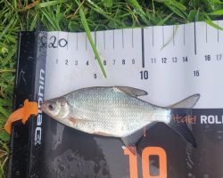 foto 13.07.25  13 24