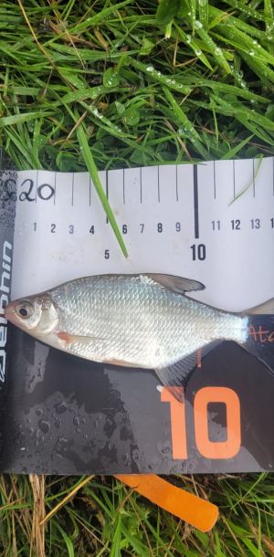 foto 13.07.25  13 24