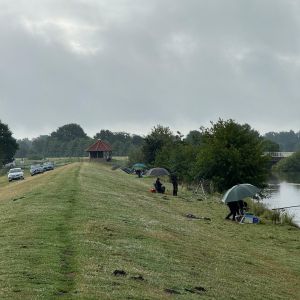 foto 13.07.25  19 34 01  