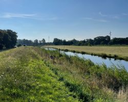 foto 14.07.24  08 17