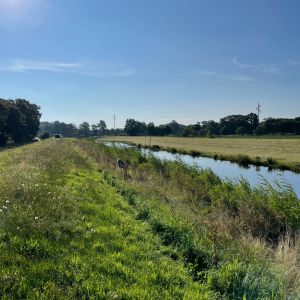 foto 14.07.24  08 17