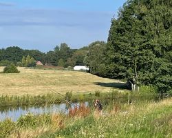 foto 14.07.24  08 18