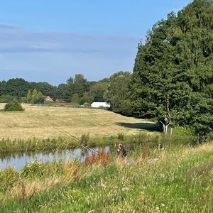 foto 14.07.24  08 18