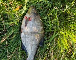 foto 14.07.24  08 20