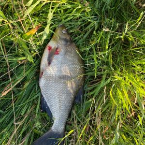 foto 14.07.24  08 20