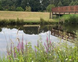 photo 2024 0745 473  2   