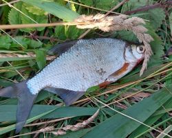 photo 2024 07 14 15 47 13  