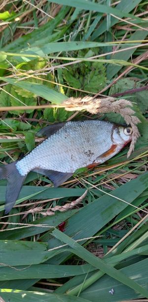 photo 2024 07 14 15 47 13  