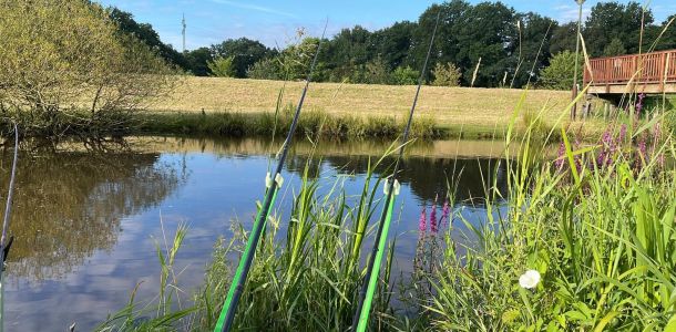 photo 2024 07 14 157 13  