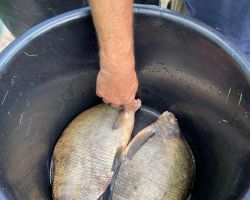 photo 2024 07 14 15 47 13  