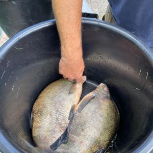 photo 2024 07 14 15 47 13  