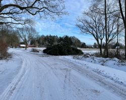 foto 10.01.26  13 33