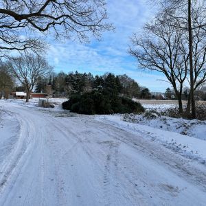 foto 10.01.26  13 33