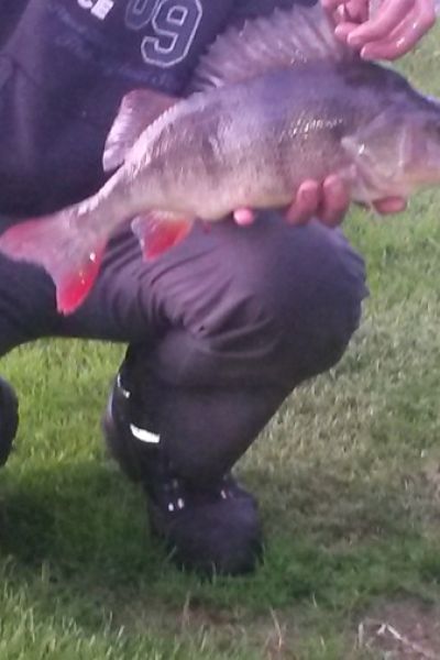 Jan Hendrik Oltmanns, Barsch