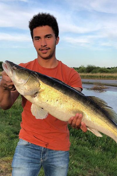 Hadid Dierks mit Zander