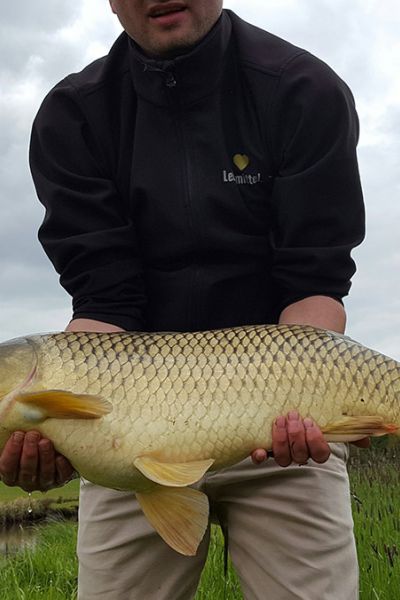 Tobias Schwirk, Karpfen