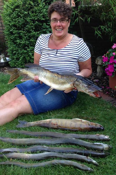 Änne Hollje, Hecht, Zander, Aale