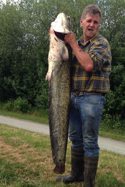 Bernhard Hollje, Wels