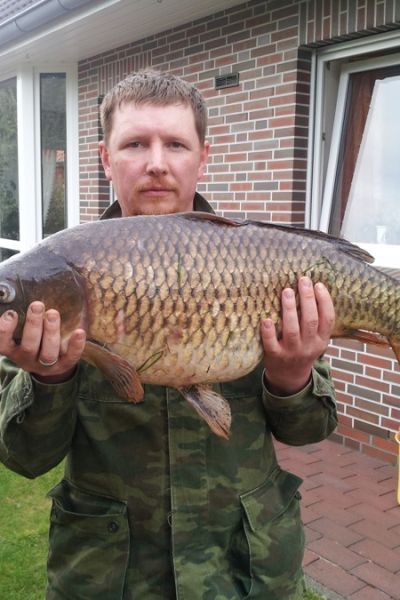 Igor Landis, Karpfen