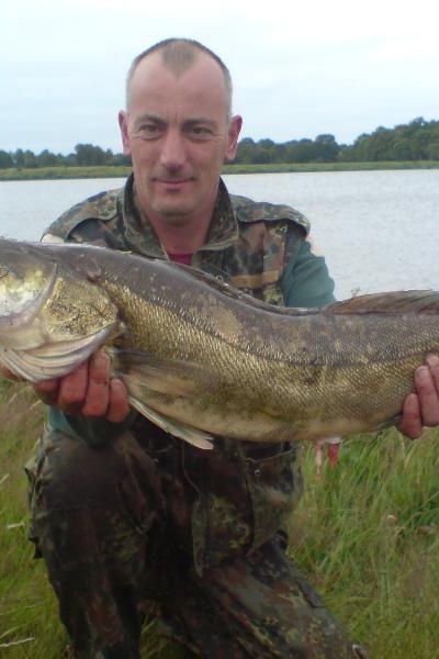 Dirk Oltmanns, Zander