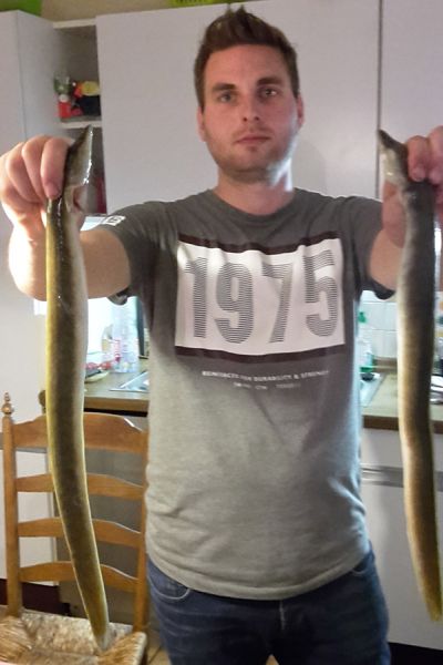 Tobias Schwirk, Aale